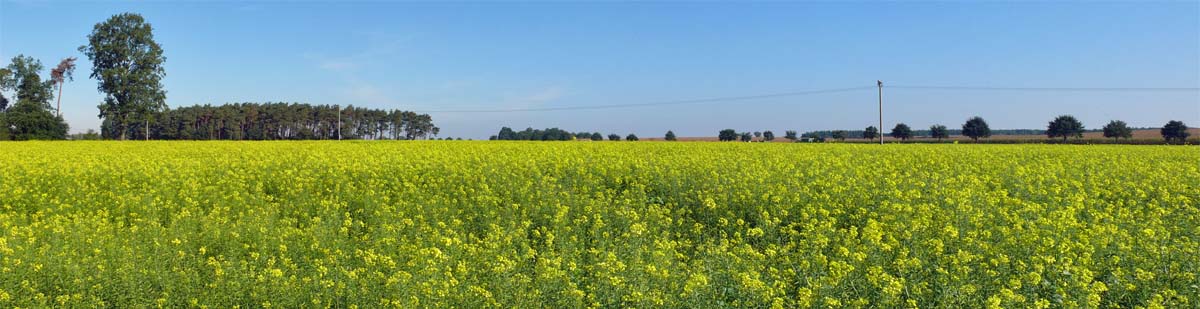 umweltschonende Landwirtschaft